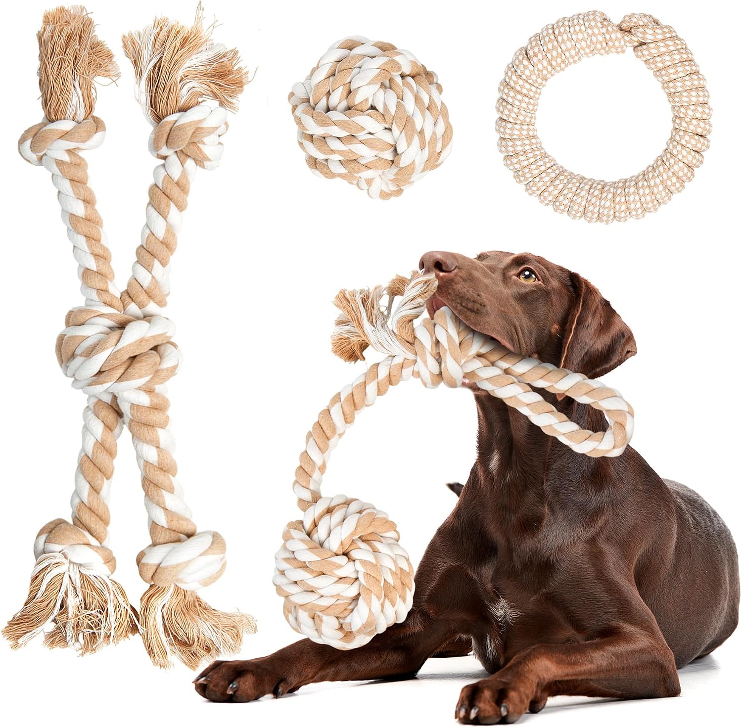 Heavy duty rope toys (4-pack)